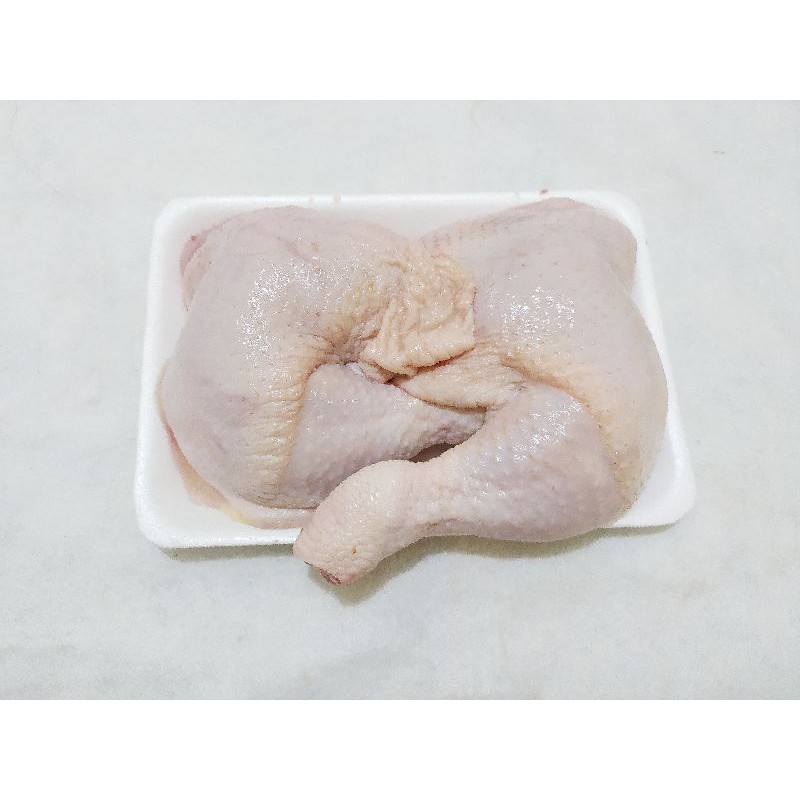 

paha ayam utuh