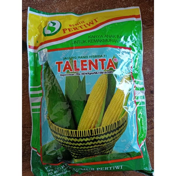 Jual Benih Jagung Manis F1 Talenta 250 Gram Shopee Indonesia 1049