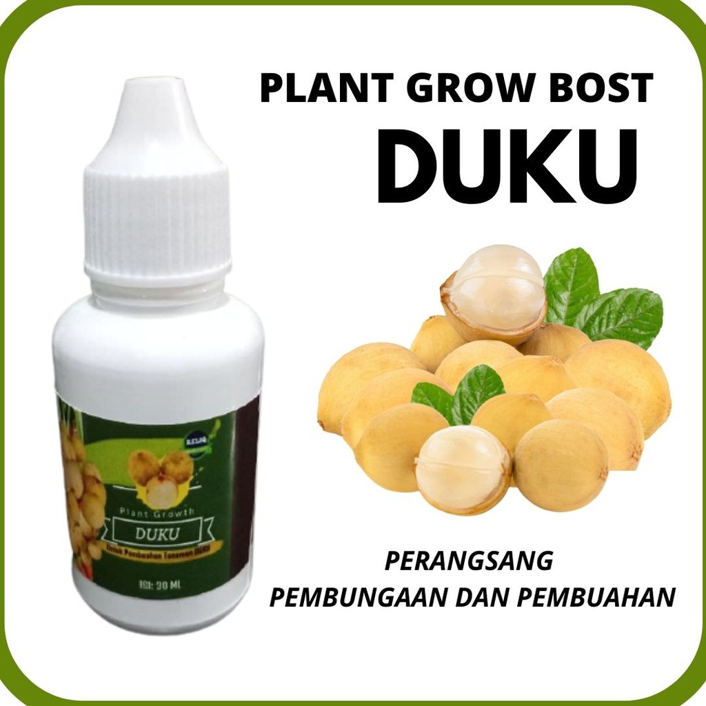 Pupuk Perangsang Buah Duku, Pupuk Hormonik PLANT GROW BOST DUKU Pelebat Buah, Pupuk Pelebat Buah Duk