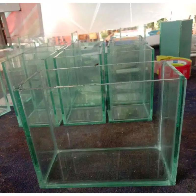 Soliter kaca cupang guppy 20x10x15