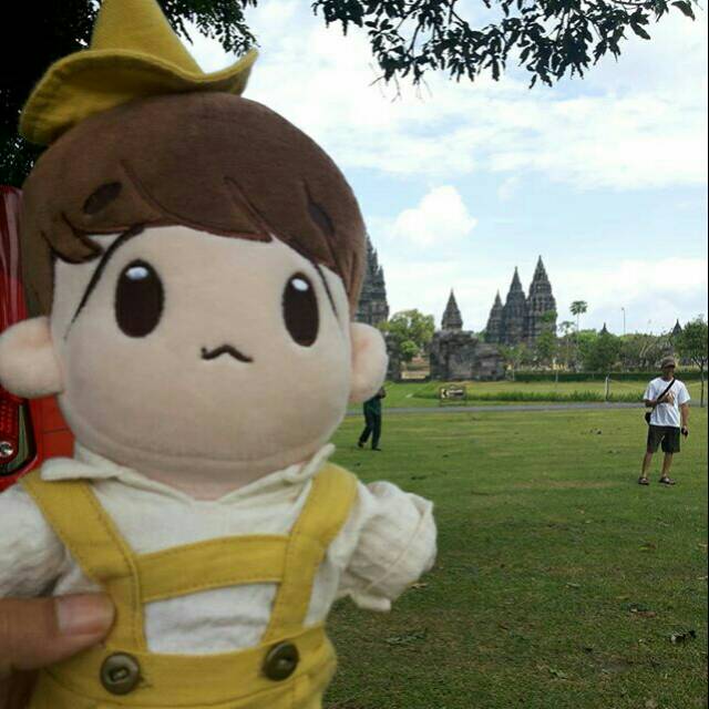 Baju Teddy house overall for 20 cm dolls