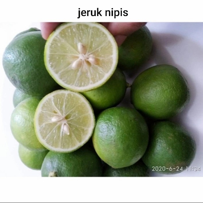 

Jeruk Lemon Lokal Besar L / Jeruk Nipis / Jeruk Peras Fresh 250 gram