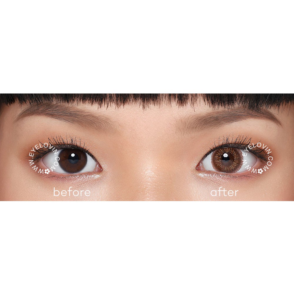 EYELOVIN Softlens Verca - Verca Dubai 3 Color Brown