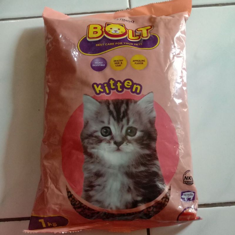 bolt kitten