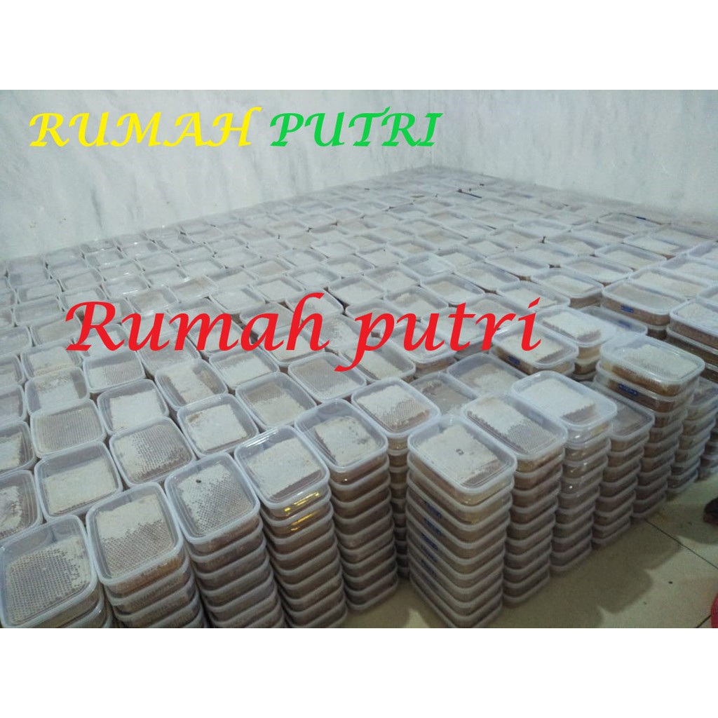 GROSIR Paket Hemat Kemasan 1 KG Madu sarang sarang madu melifera honeycomb madu liar madu asli madu