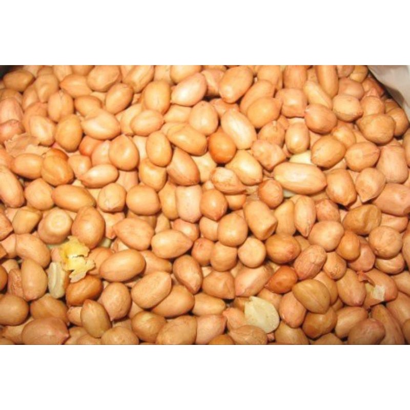 

Kacang sasak 250g-1kg