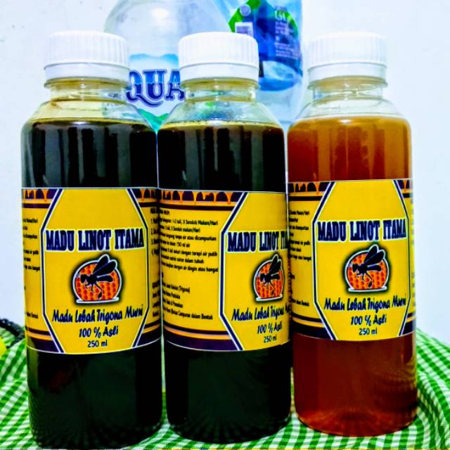 

Madu Asli Kelulut 100% Alami