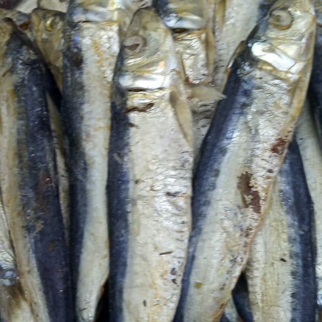 

ikan sampah daging asin berat 1kg