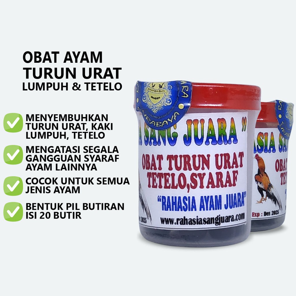 OBAT AYAM TURUN URAT KAKI LUMPUH BENGKAK TETELO SERTA GANGGUAN SYARAF AYAM LAINNYA