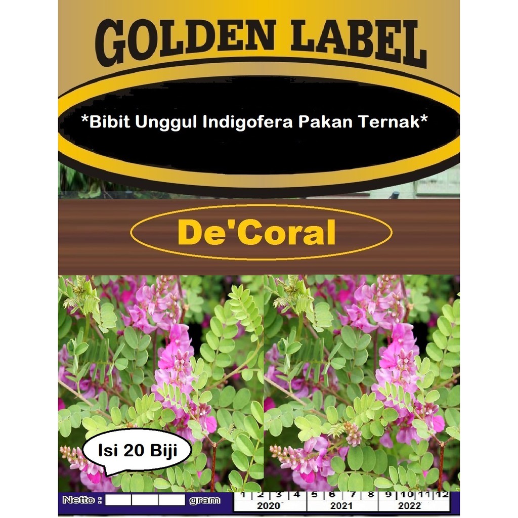 Bibit Unggul Indigofera Pakan Ternak | Benih Indigofera Pakan Ternak