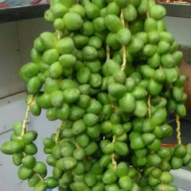 Ruthob Kurma Muda Mentah Ijo