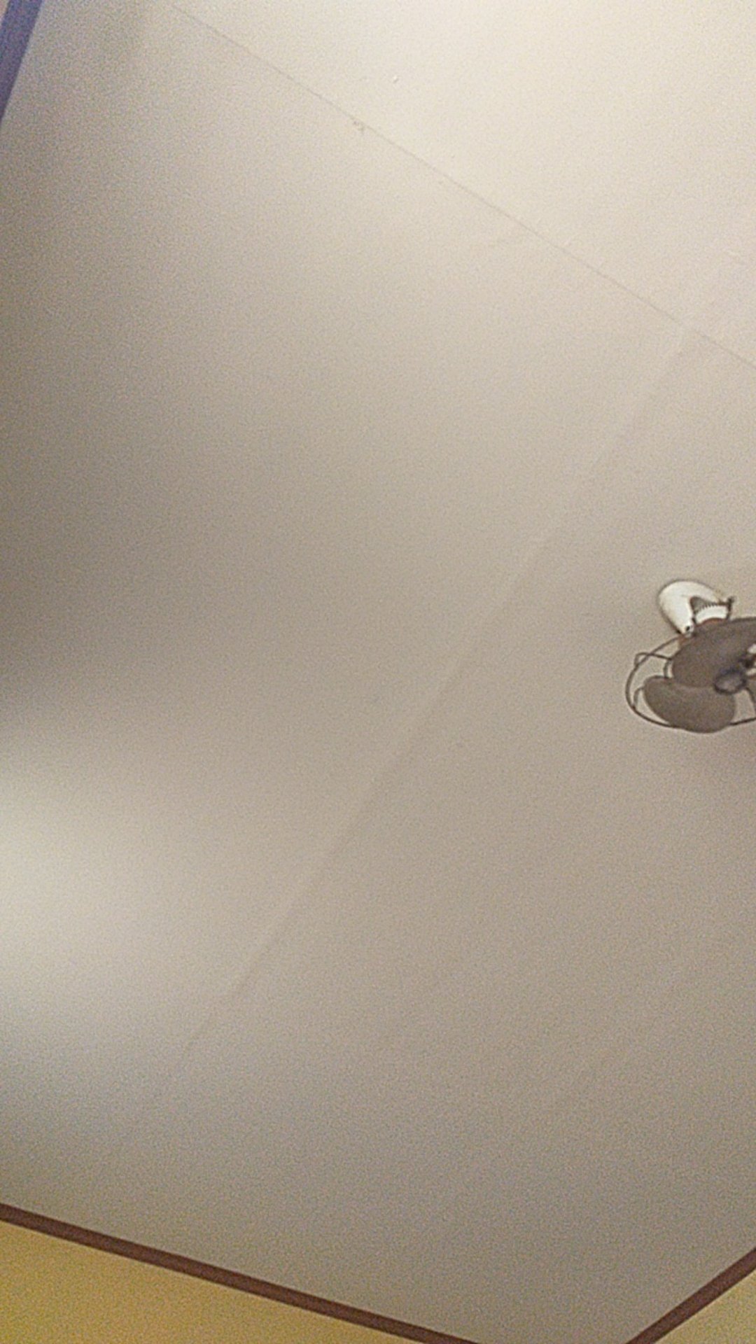 Hanger Dewasa H&m (10pcs)