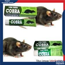 ( PROMO ) Lem Tikus / Jebakan Tikus / Cobra / Lem Tikus Cobra Super Lengket Ampuh &amp; Berkualitas GROSIR
