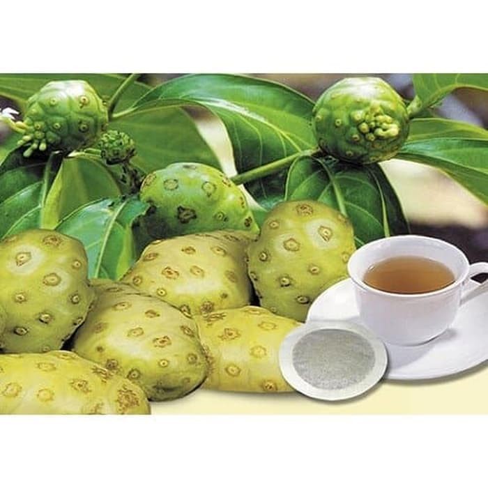 

Buah Mengkudu/Noni/Pace Organik 1 kilogram