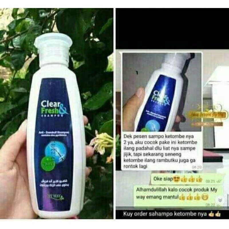 SHAMPOO ANTI KETOMBE CLEAR & FRESH MY WAY