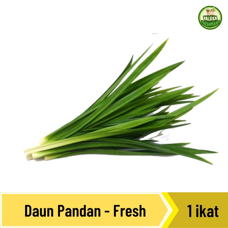 

Daun Pandan - 1 ikat