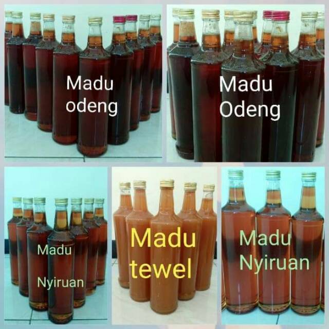 

Madu asli dari peternak lebah