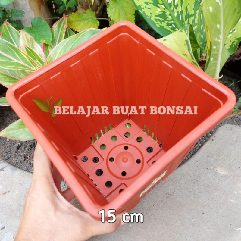 Pot Kotak YPK 15 Cm Pot Tanaman