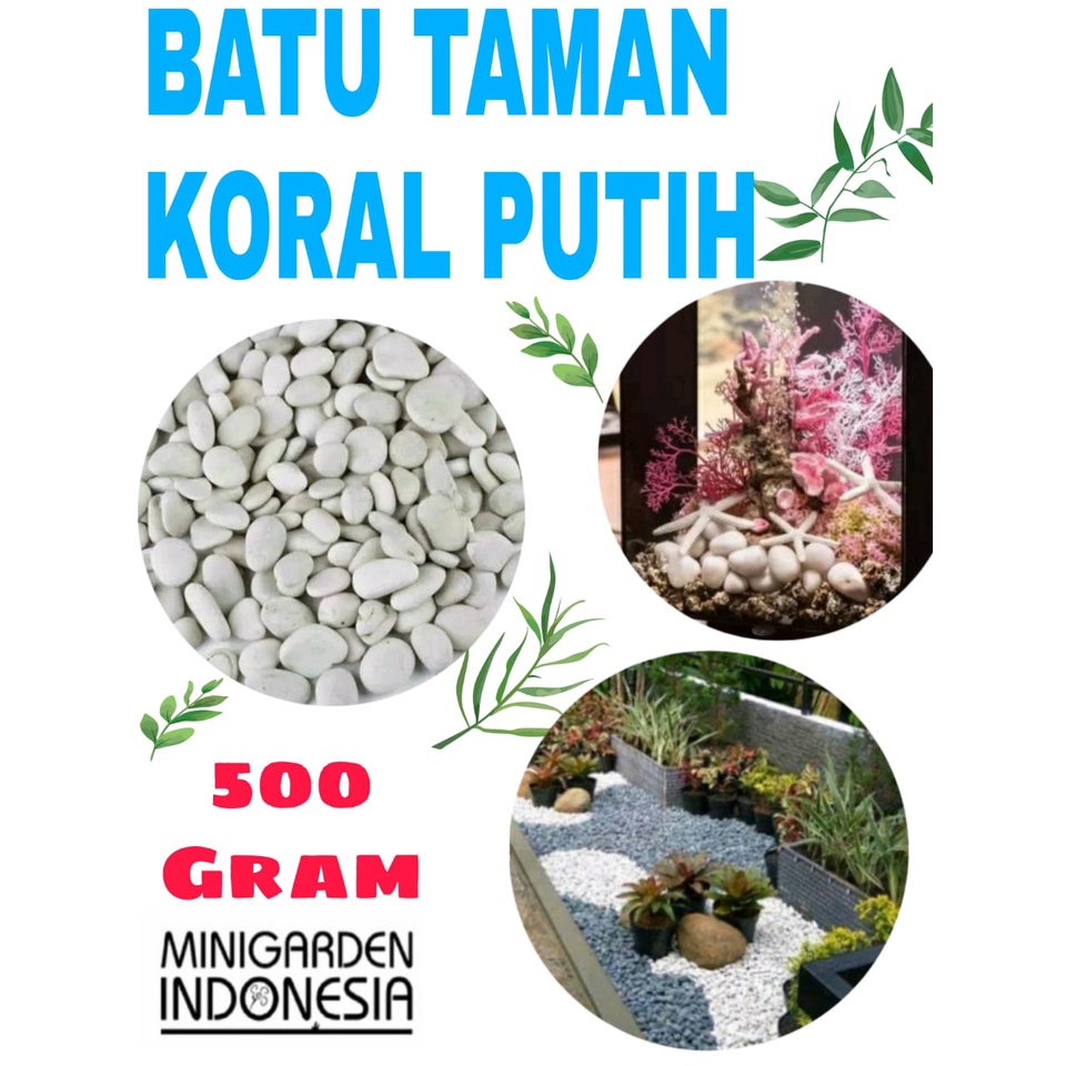 BATU KORAL PUTIH ECER 500 GRAM batu taman hias batu kupang putih salju batu aquascape batu dasar aquarium media tanam