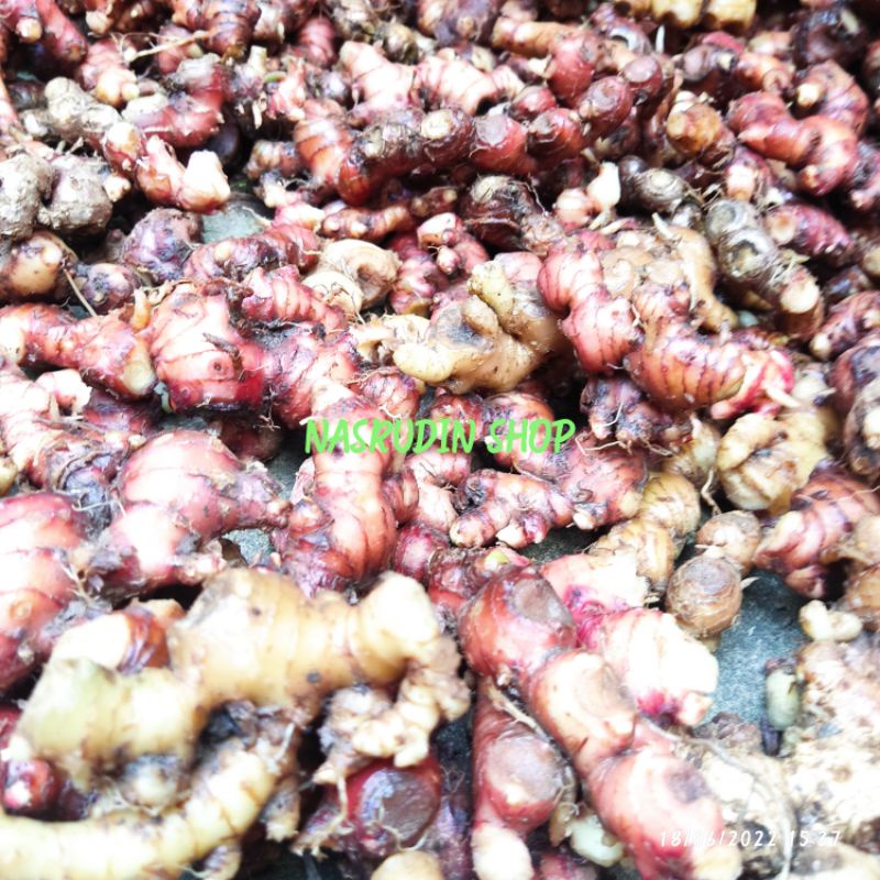 

JAHE MERAH ASLI 1KG SEGAR TERMURAH