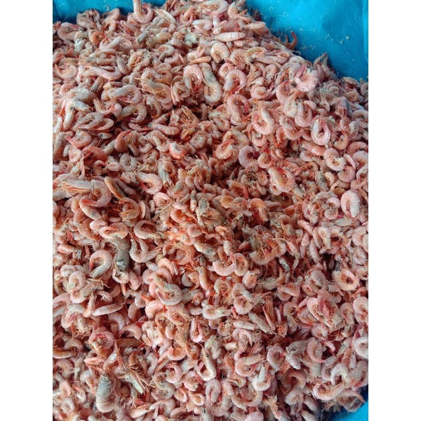 

udangmerah(1000gram)