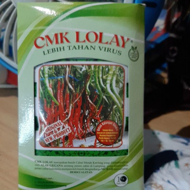 CMK LOLAY