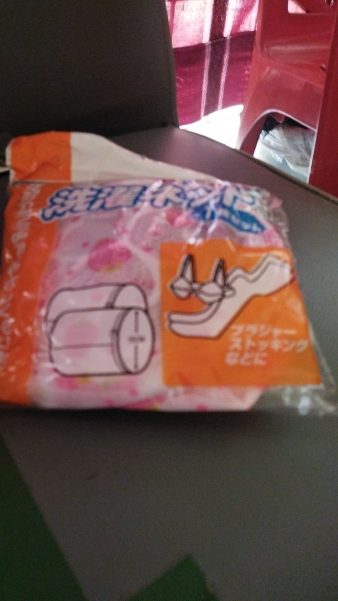 Laundry Bag Bra Double Layer Zipper / Pengaman Bh Underwear Mesin Cuci