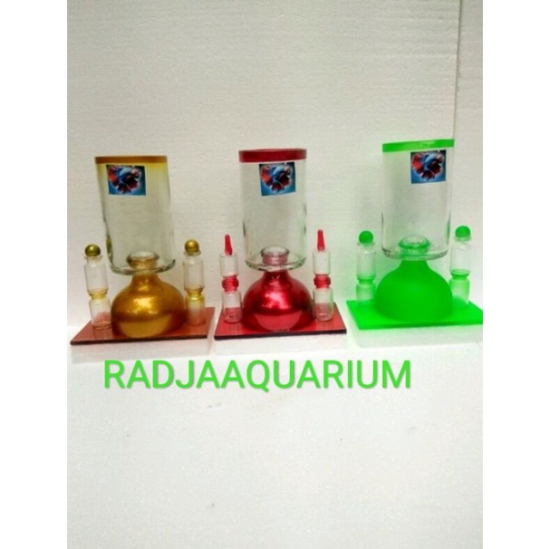 botol kaca VAS BUNGA aquarium mini ikan cupang botol unik
