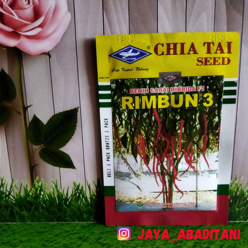 Benih Cabai Keriting Hibrida F1 Rimbun 3 Chia Tai