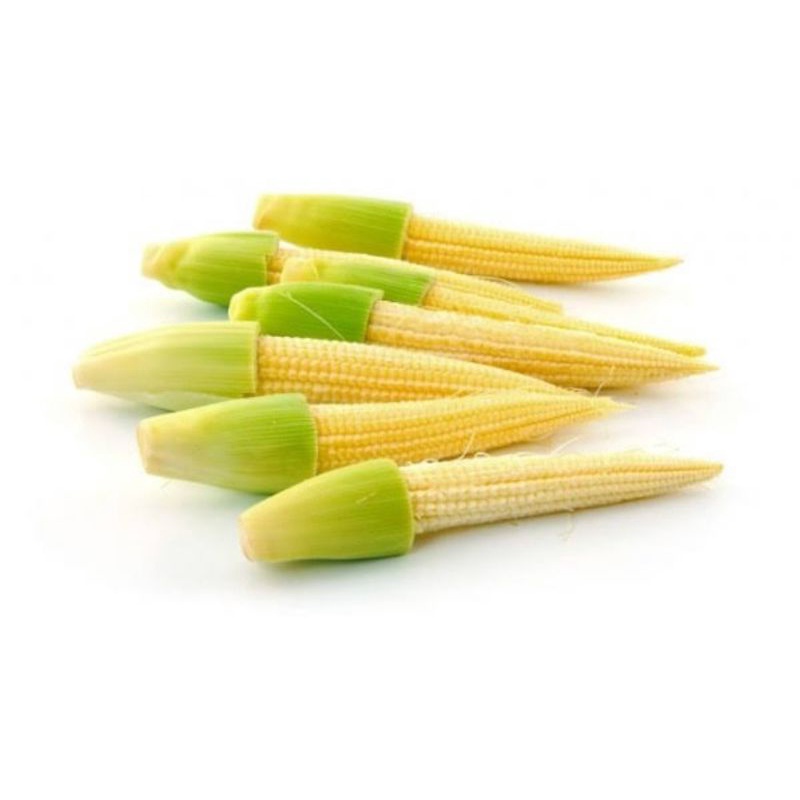 

jagung putren