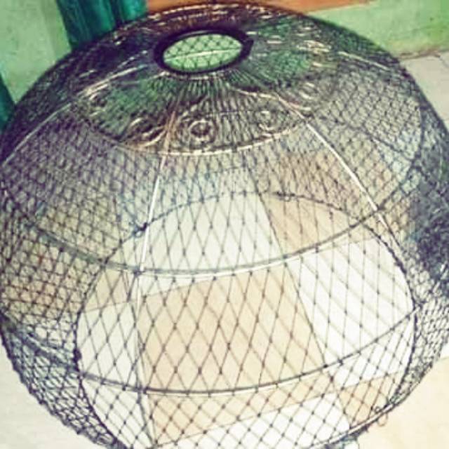 

Kurungan ayam knock down