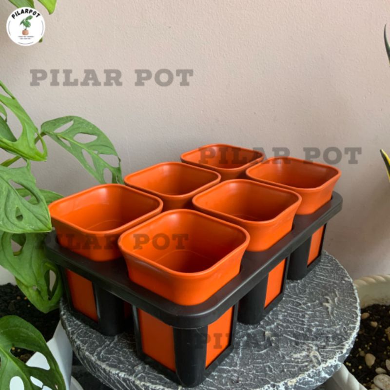 1 set Tray + pot bunga nkt kotak 8 cm MERAH BATA | tray semai bibit