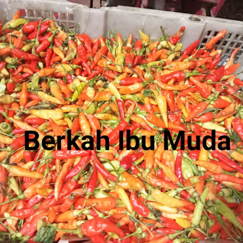 

Cabe Rawit 500gram