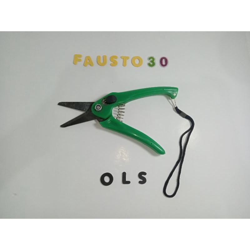 Gunting Dahan / Ranting / Gunting stek lurus - TERMURAH