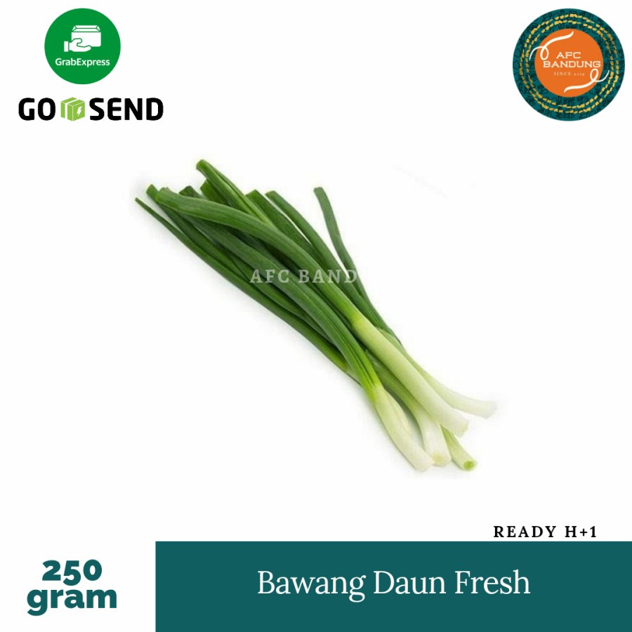 

Daun Bawang Bumbu Dapur Bawang Daun 250gr