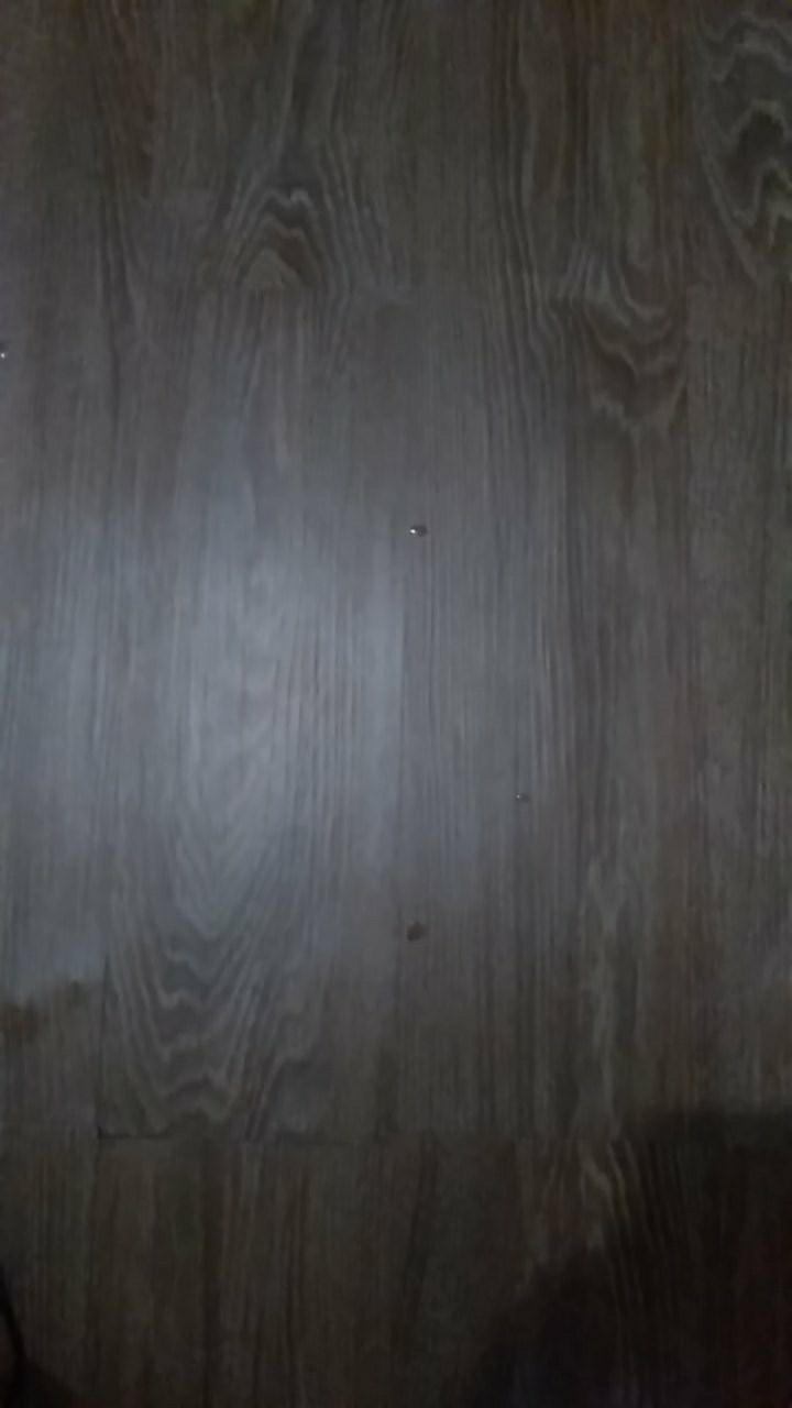 Thermometer Dapur Digital / Thermometer Kopi Minyak Air Digital / Kitchen Thermometer