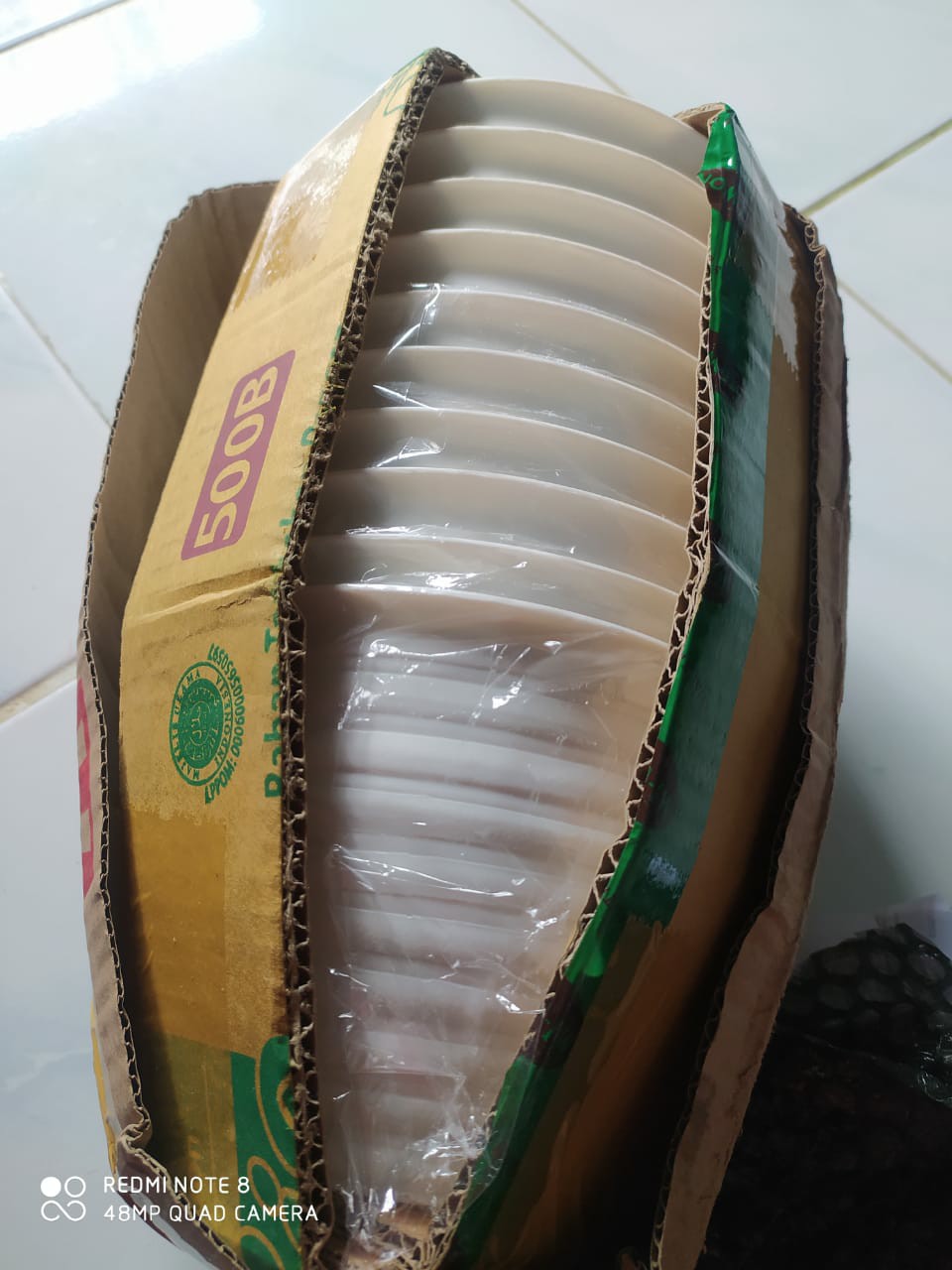 Pot Tawon /pot Nanas 17