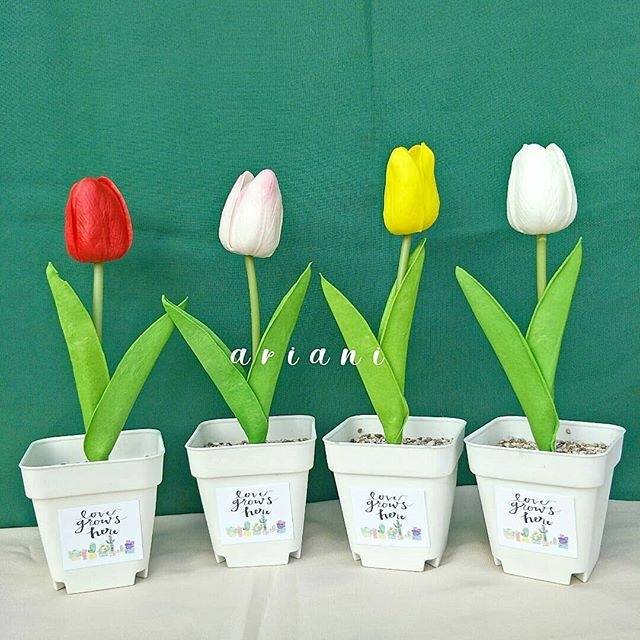 Jual Ariani Set Bunga Latex Tulip X Dengan Pot Plastik Putih