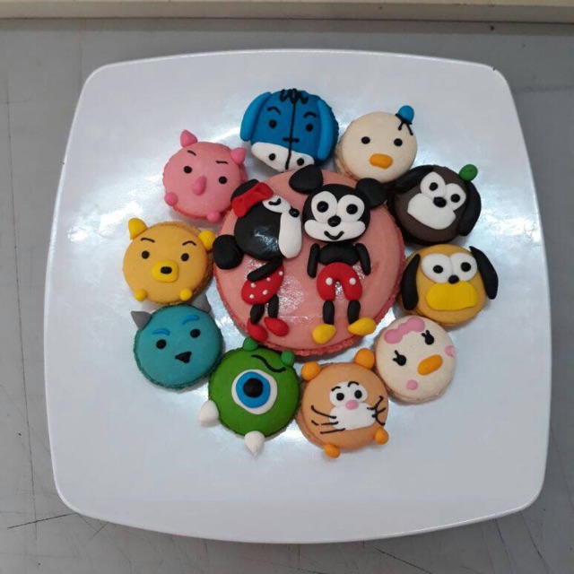 

Macarons paket (10 big macarons + 1 super big)