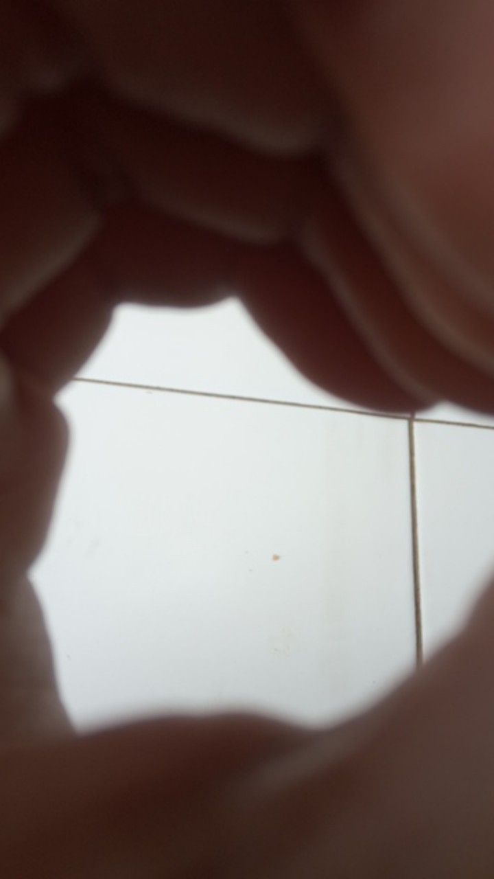 Pisau Hias Acar / Puding / Buah / Sayur / Wave Slicer Knife / Pisau Gobed / Pisau Ukir Buah.