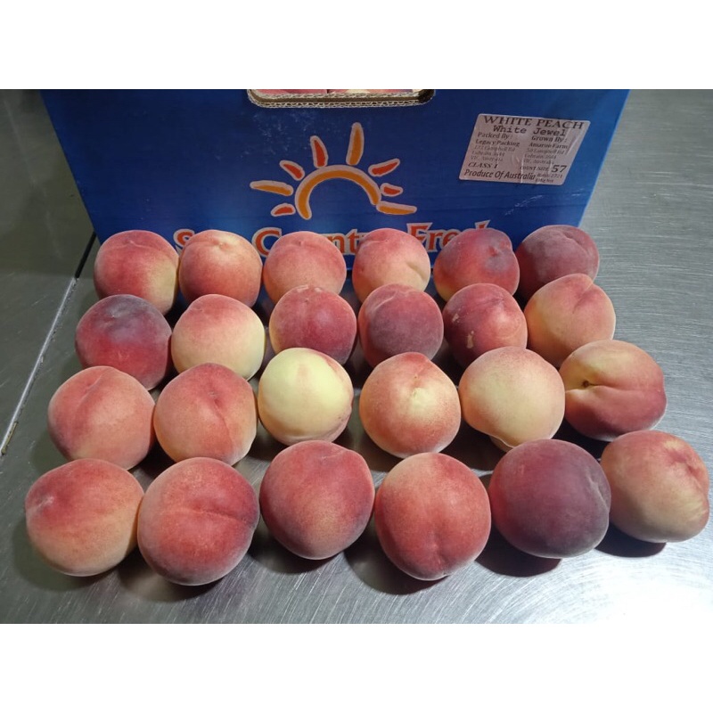 

Buah Peach White Australia 1 Dus (10 Kg) Fresh Import