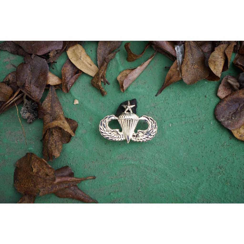 Army Master/Senior Parachutist Badge/Pin