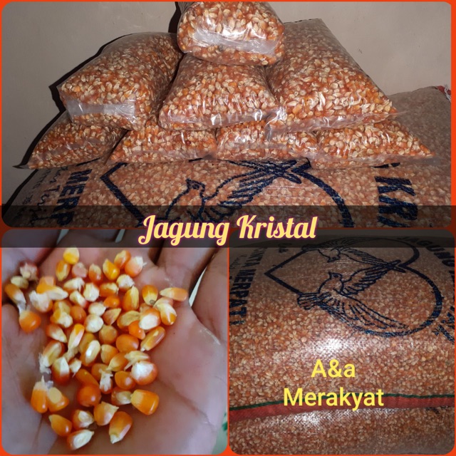 PAKAN BURUNG DARA JAGUNG CRYSTAL KRISTAL 1 kg