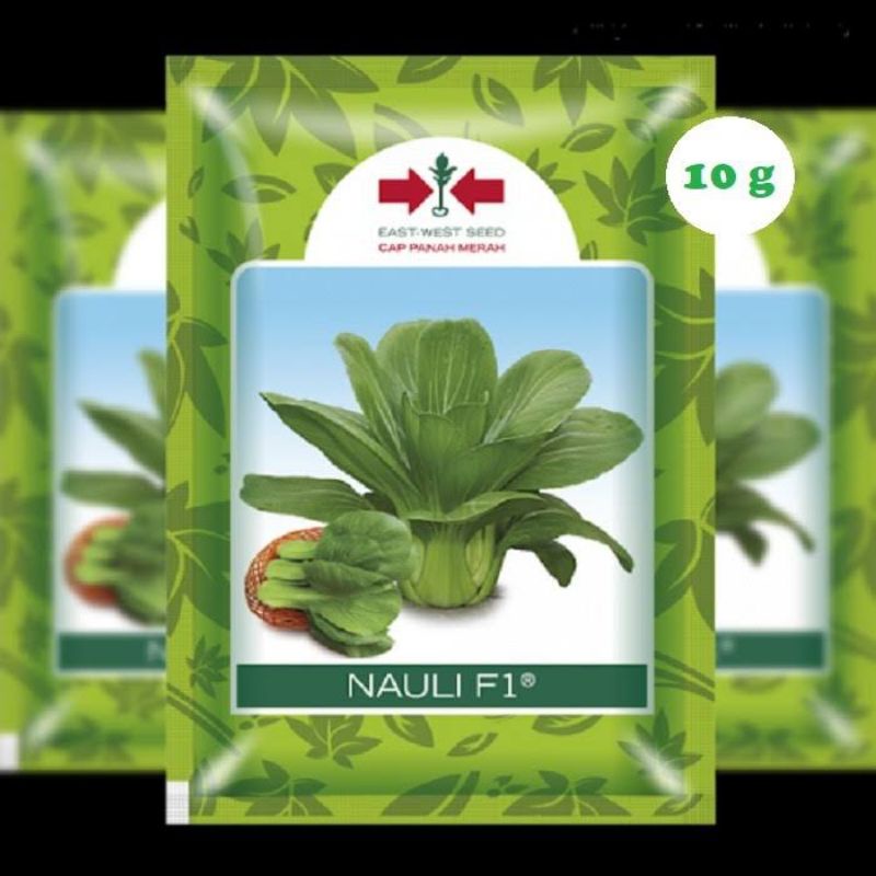 Benih Cap Panah merah