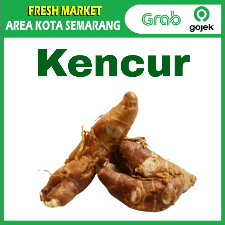 

[FRESH MARKET] Kencur Curah Segar Bumbu Dapur Masak 100gr KIRIM GRAB area kota semarang