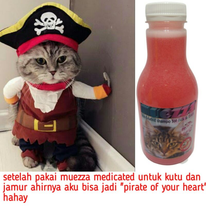 muezza medicated shampo pengobatan sampo obat anti kutu jamur tick Flea untuk kucing anjing musang murah manjur promo diskon terlaris