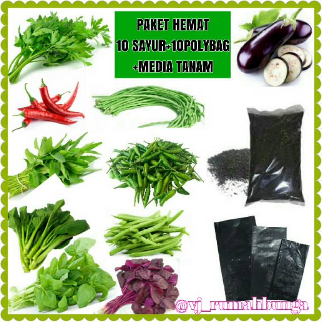 Paket Hemat Berkebun Rumahan Murah Terlengkap