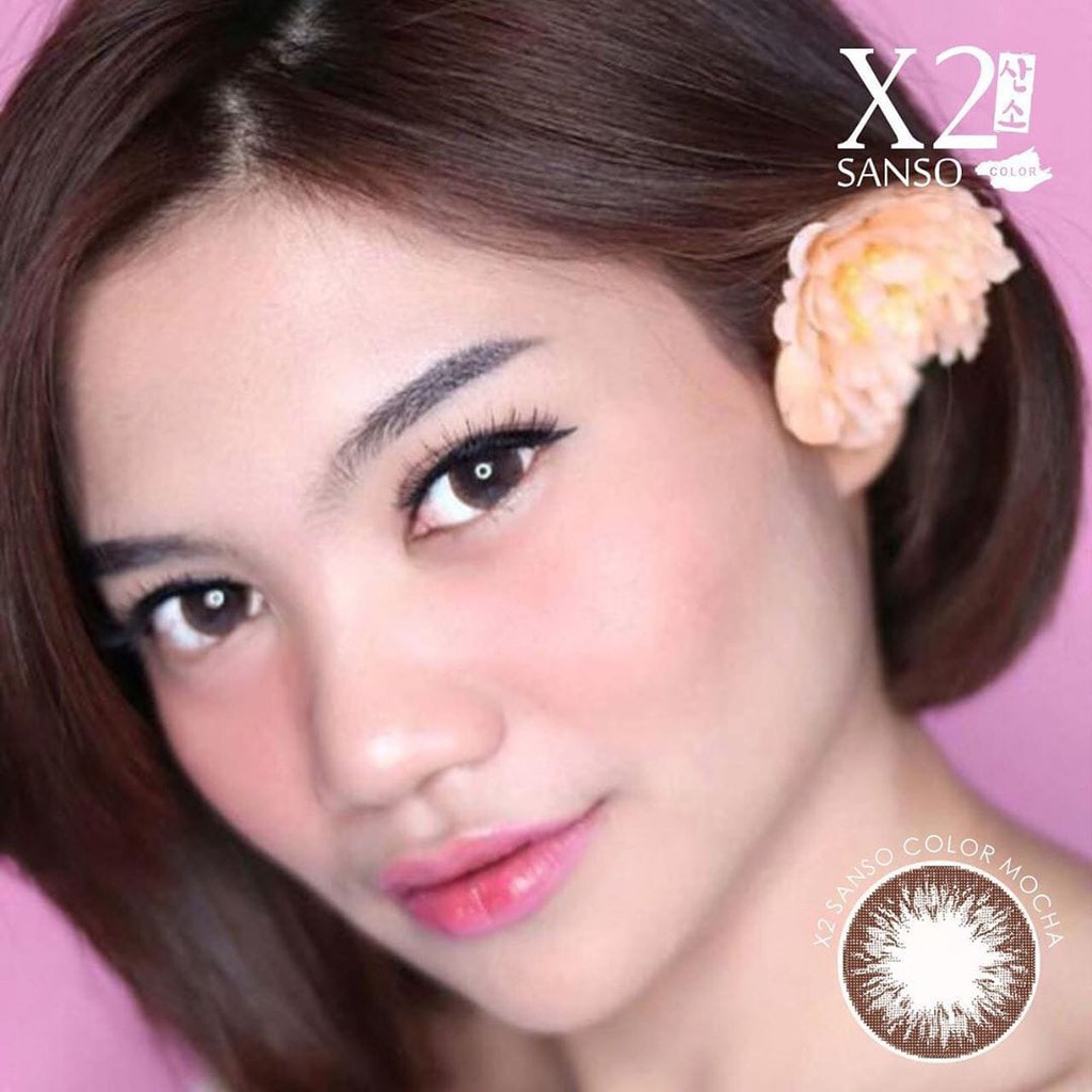 SOFTLENS SANSO BLACK MOCHA14.5MM ( - 0.50 S/D -10.00 )