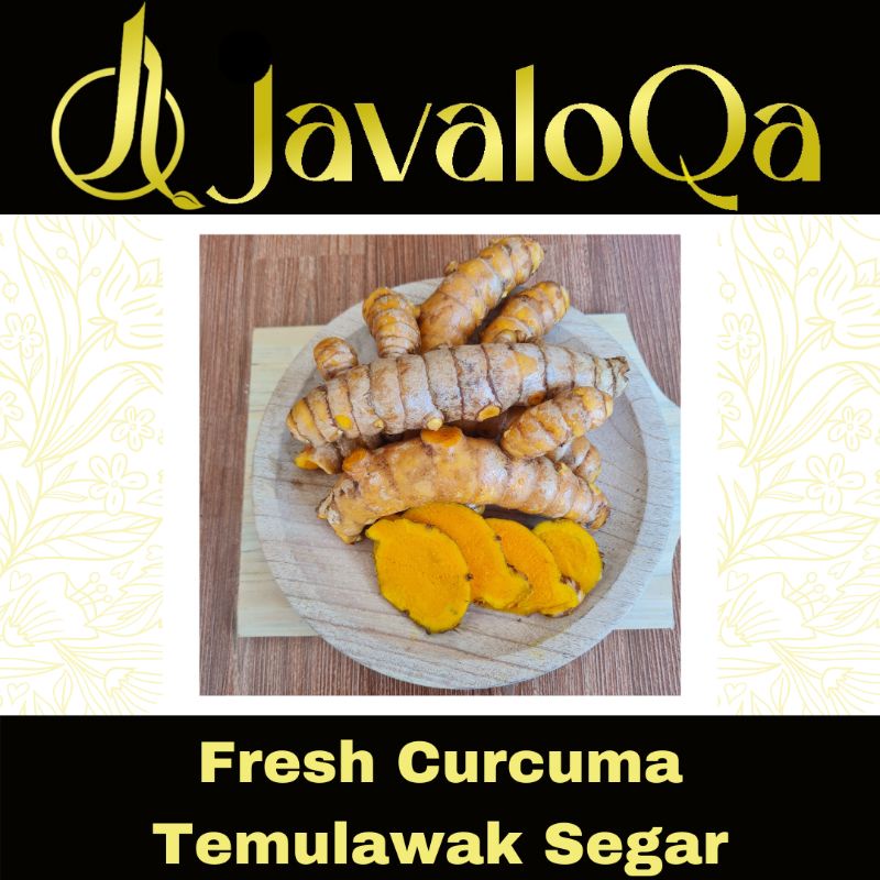 JAVALOQA TEMULAWAK SEGAR / FRESH CURCUMA /JSR 100% ALAMI