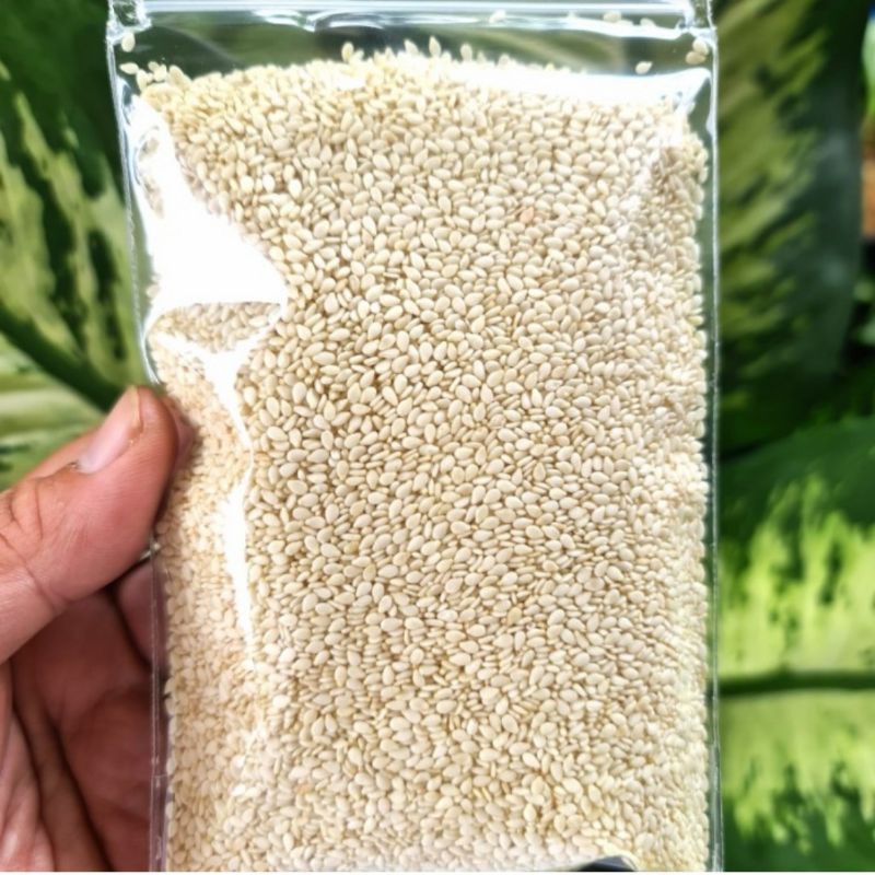 

Biji Wijen Putih 100gr Kualitas Bagus - White Sesame Seeds